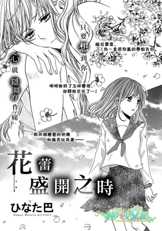 花蕾盛开之时