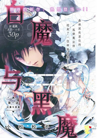 白魔与黑魔